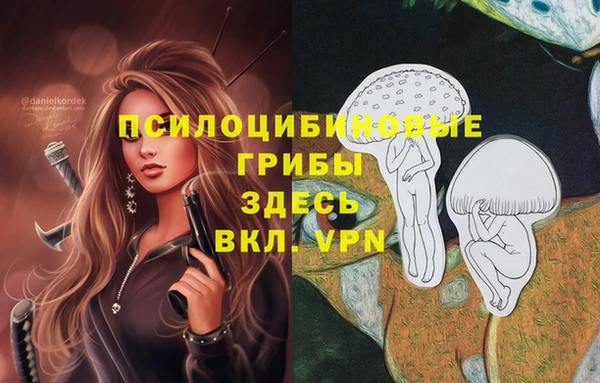 прущая мука Абаза